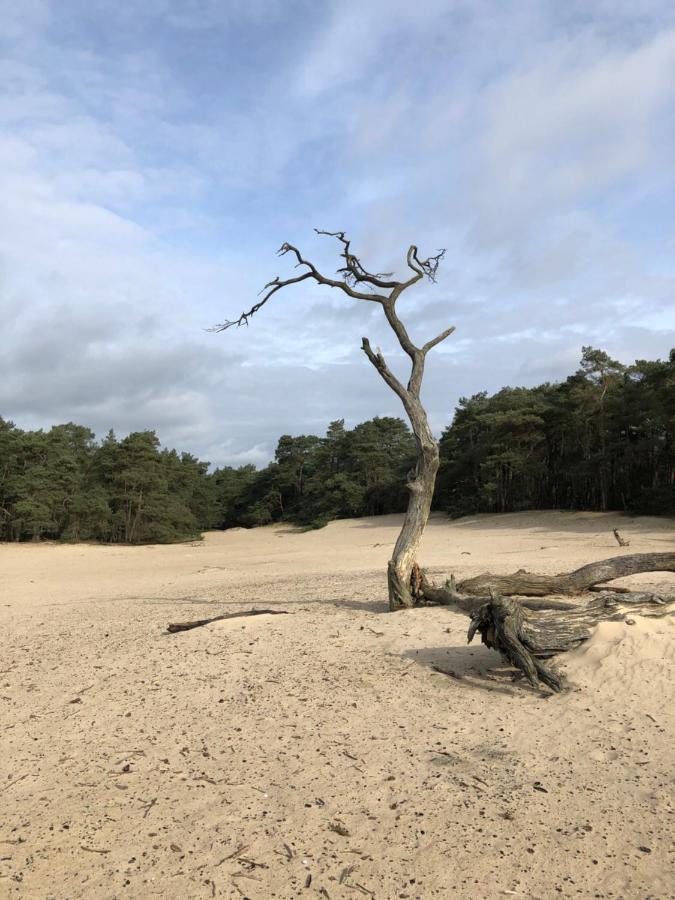 Bonte Specht Villa Otterlo Luaran gambar