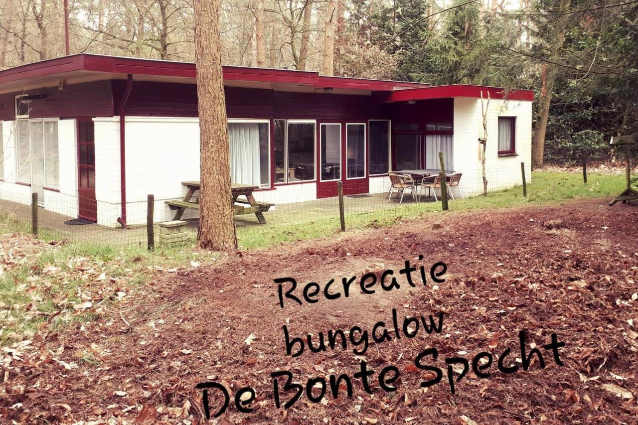 Bonte Specht Villa Otterlo Luaran gambar