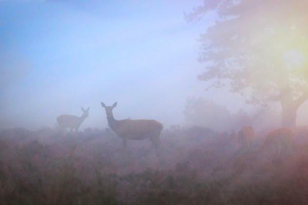 Bonte Specht Villa Otterlo Luaran gambar