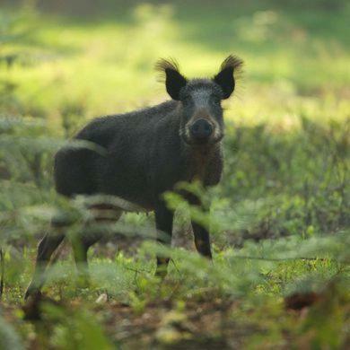 Bonte Specht Villa Otterlo Luaran gambar